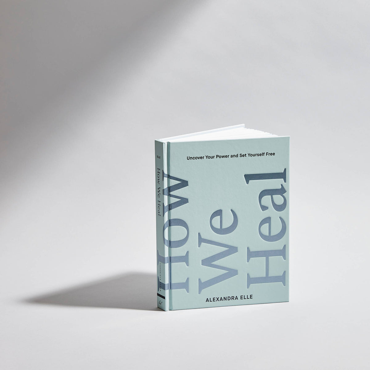 How We Heal by Alexandra Elle