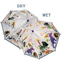Color Changing Umbrells