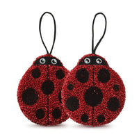 Cleaning Ladies - Ladybug Sponges - Set of 2