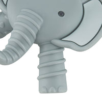 Ritzy Teether Teether