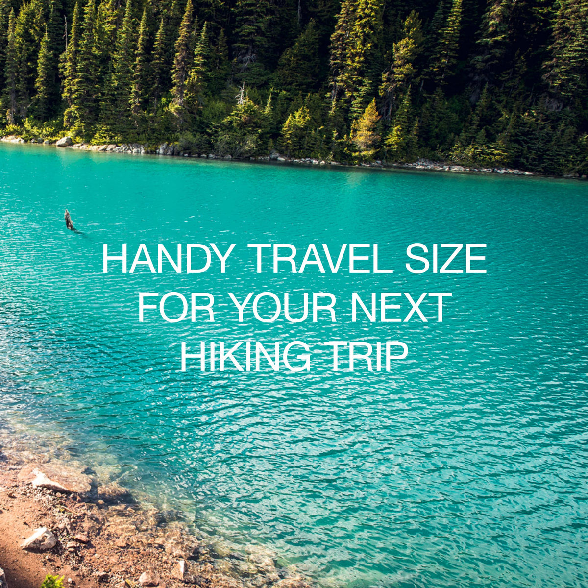 You Are Here: Hikes Adventure Book