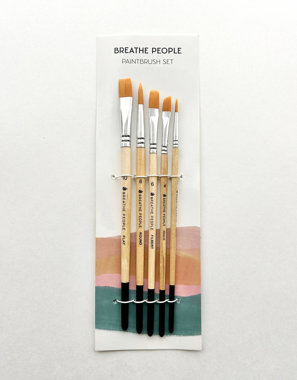 Paintbrush Set of 5 Brushes