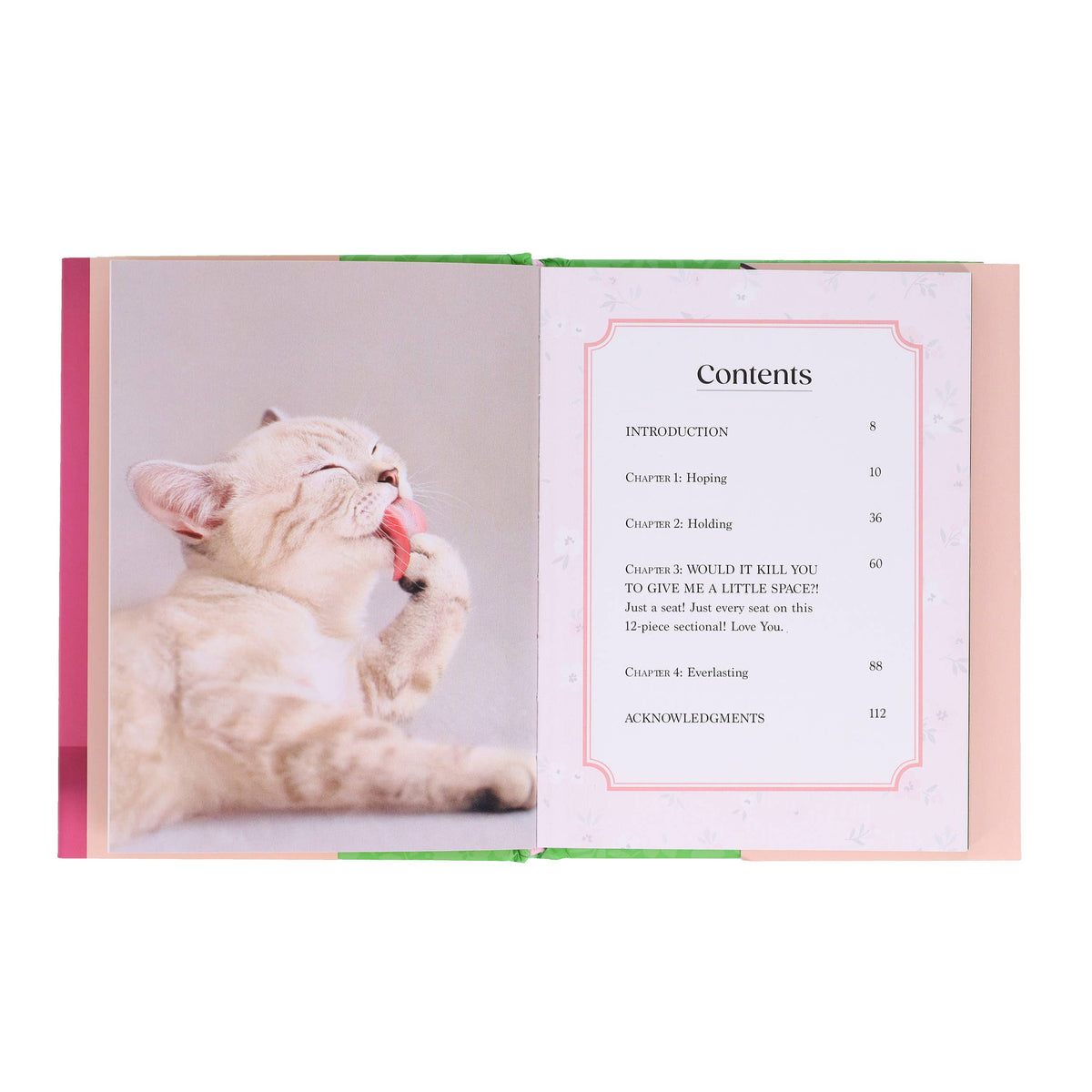 Oh. It's You. Love Poems by Cats