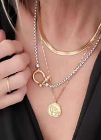 Carabiner Charm-Wheat Chain Stainless Necklace