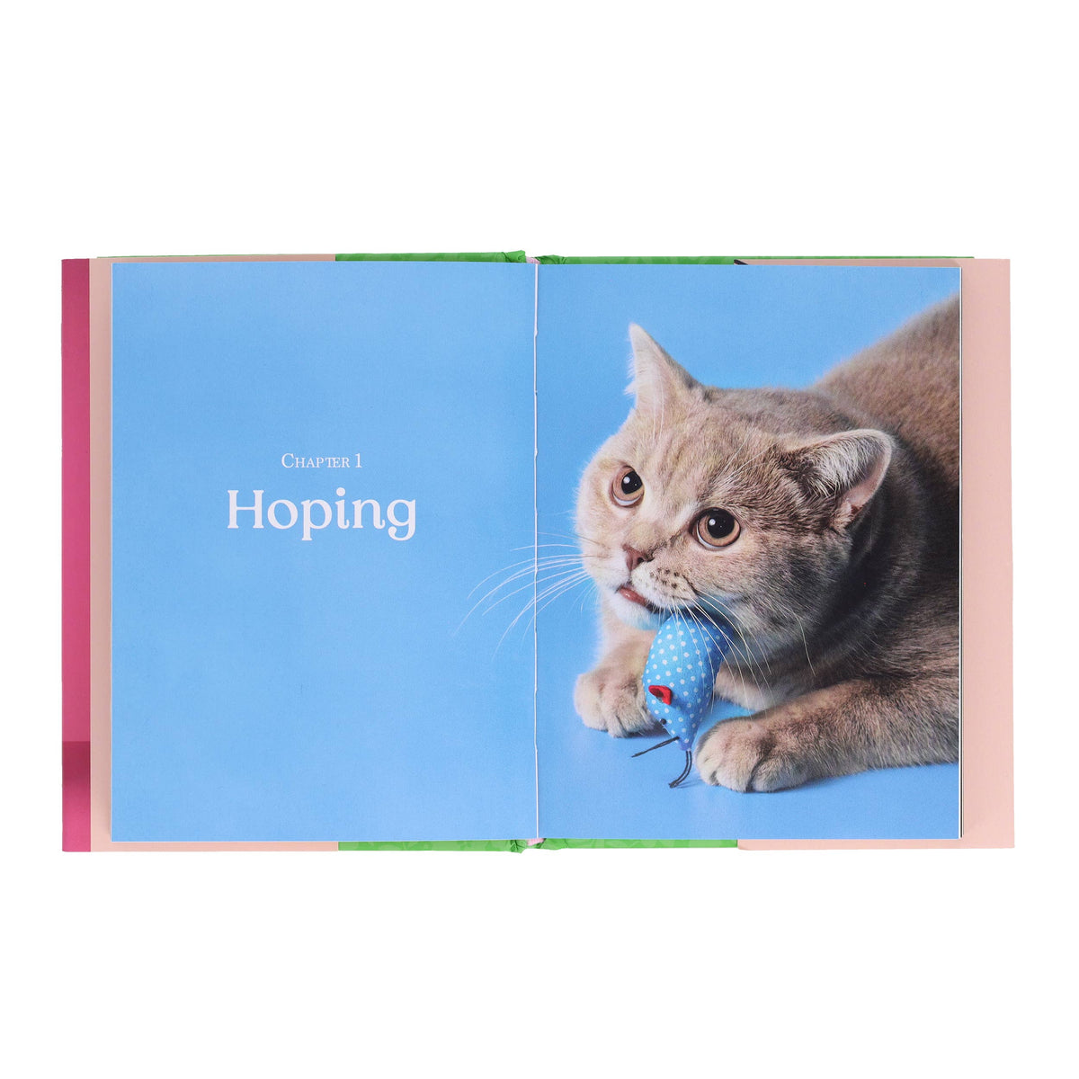 Oh. It's You. Love Poems by Cats