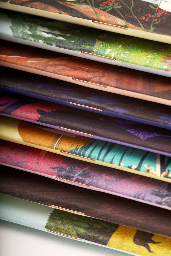 National Parks Notebook Series F - 3 pack