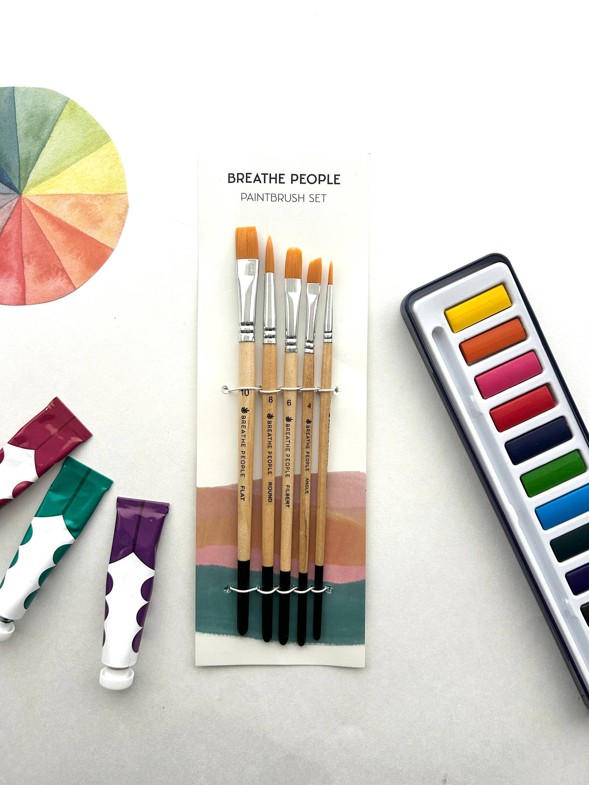 Paintbrush Set of 5 Brushes