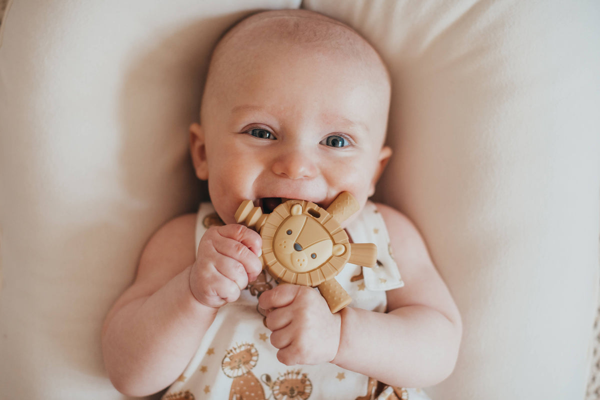 Ritzy Teether Teether