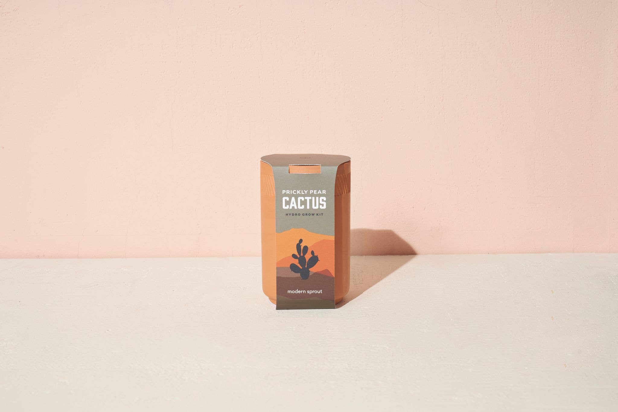 prickly pear cactus grow kit Big Terracotta Kit – Khepri Collective