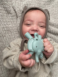 Ritzy Teether Teether
