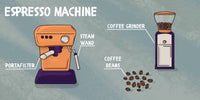 Baby Barista Board Book