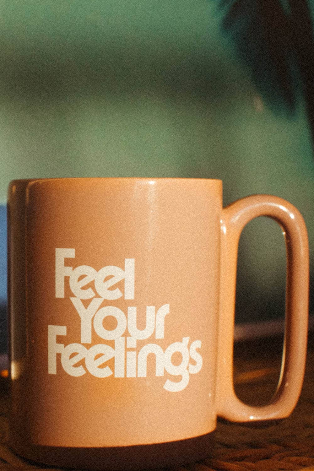 Feel Your Feelings | Mug