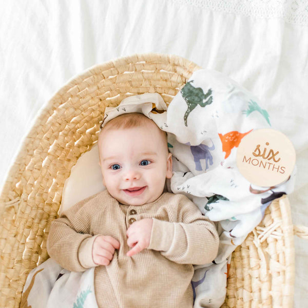 Cotton Muslin Swaddle - Dinosaur