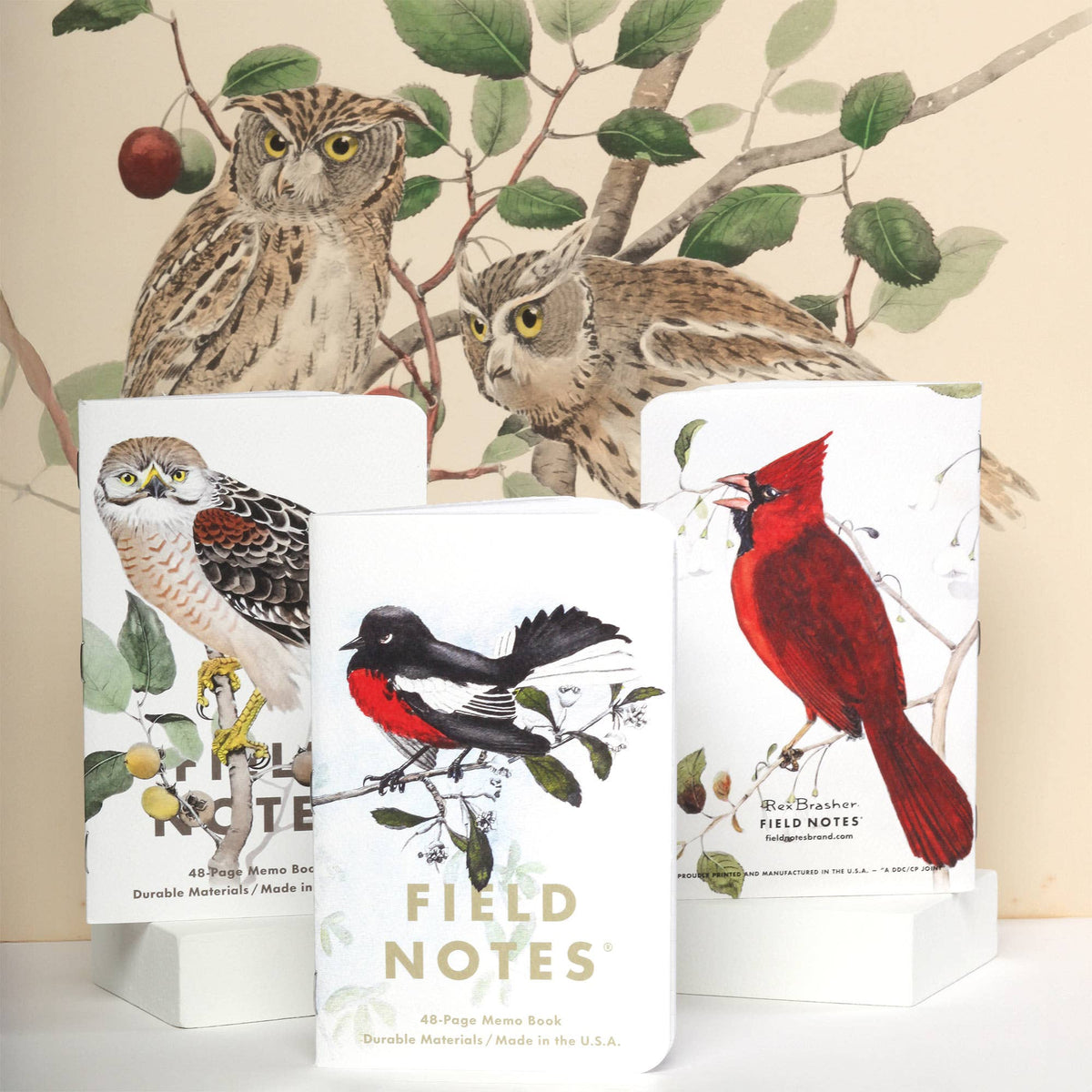 Birds and Trees of North America Notebooks - 3 pack