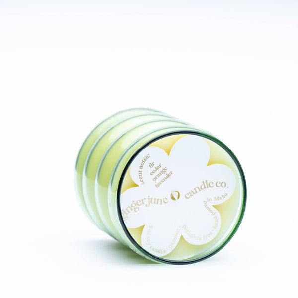 Take it easy • wiggle collection  • green • 9 oz soy candle