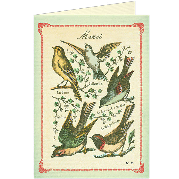 Birds - Merci Thank You Card