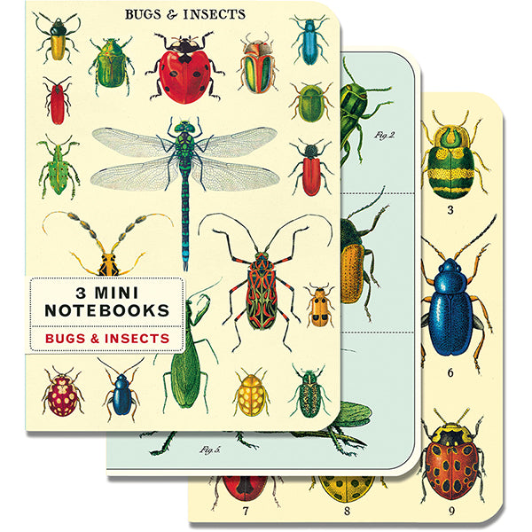 Mini Notebooks - Set of 3