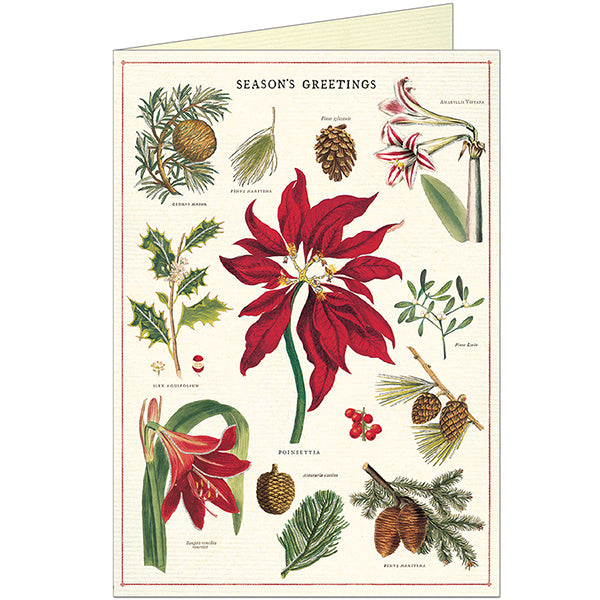Christmas Botanica Holiday Card