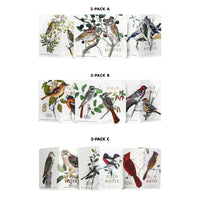Birds and Trees of North America Notebooks - 3 pack