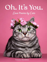 Oh. It's You. Love Poems by Cats