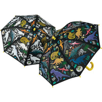 Color Changing Umbrells