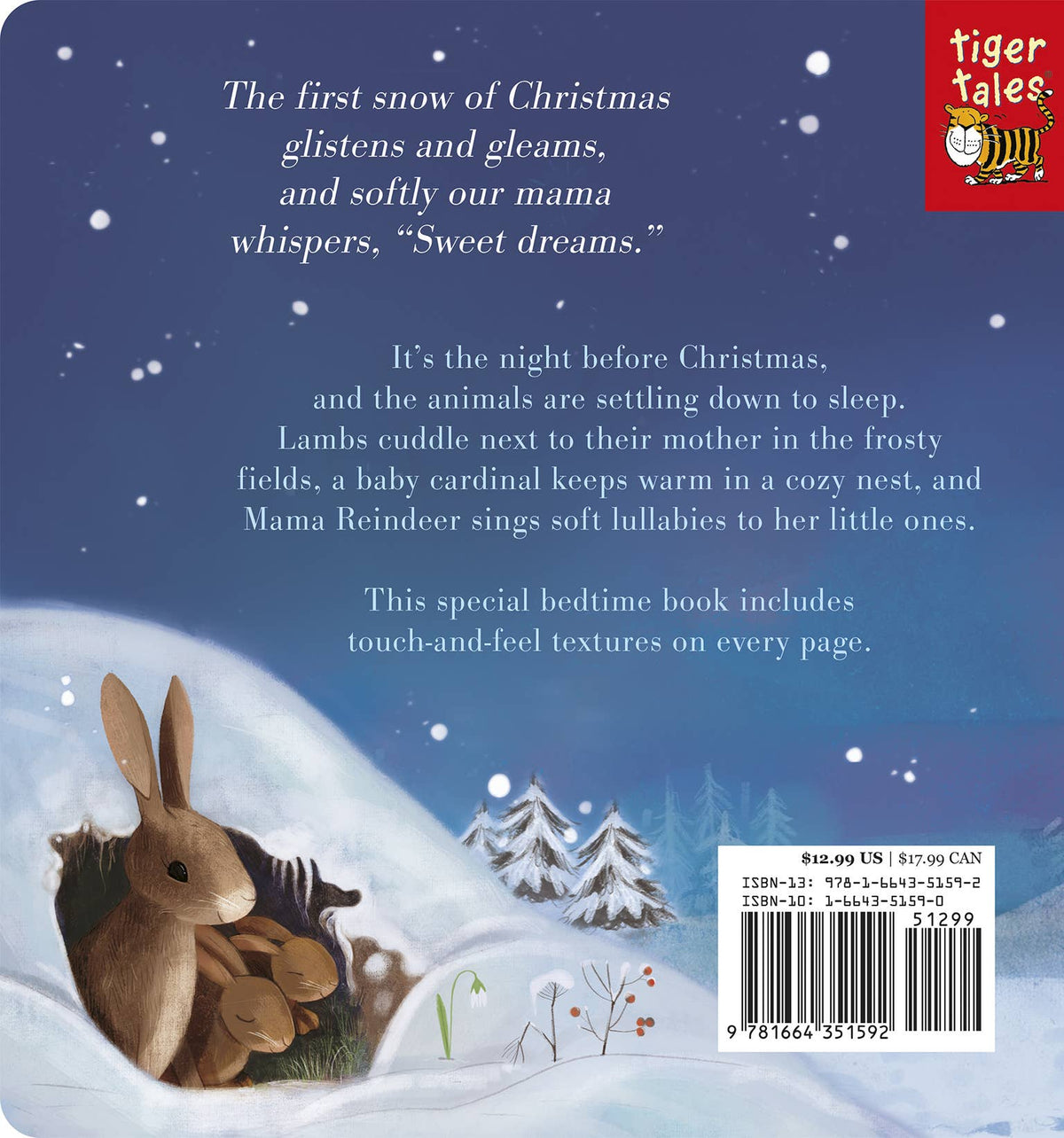 Night Night, Christmas Children's Book