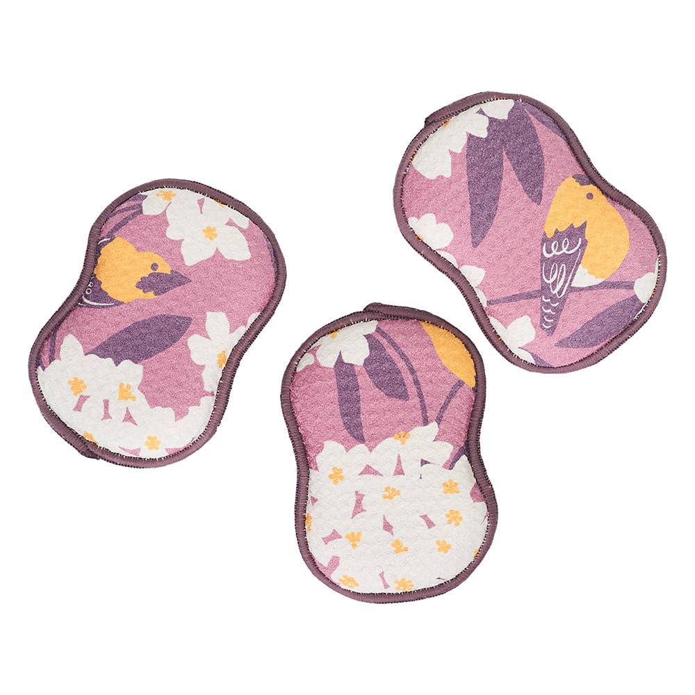 RE:usable Sponges Set of 3 - Nuthatch Birdsong