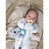 Plush Rattle Pal with Teether