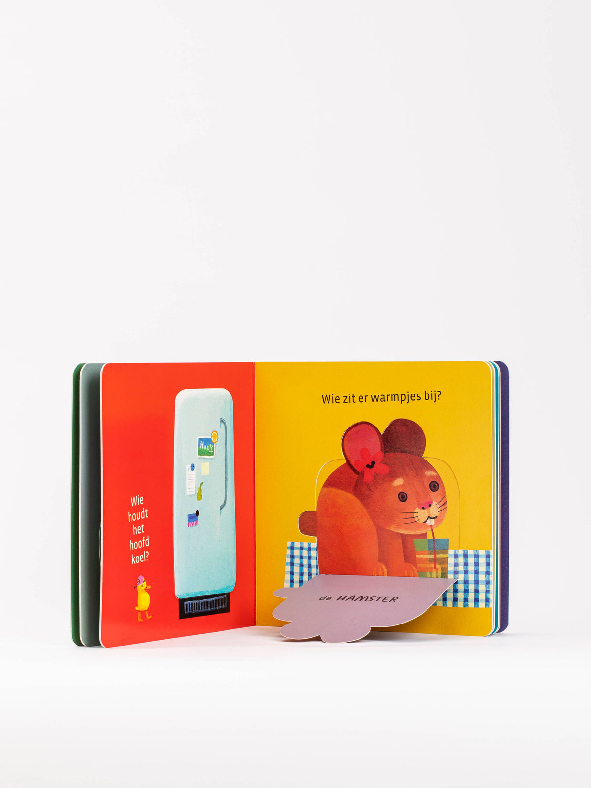 Where Is Everyone? Children's Book