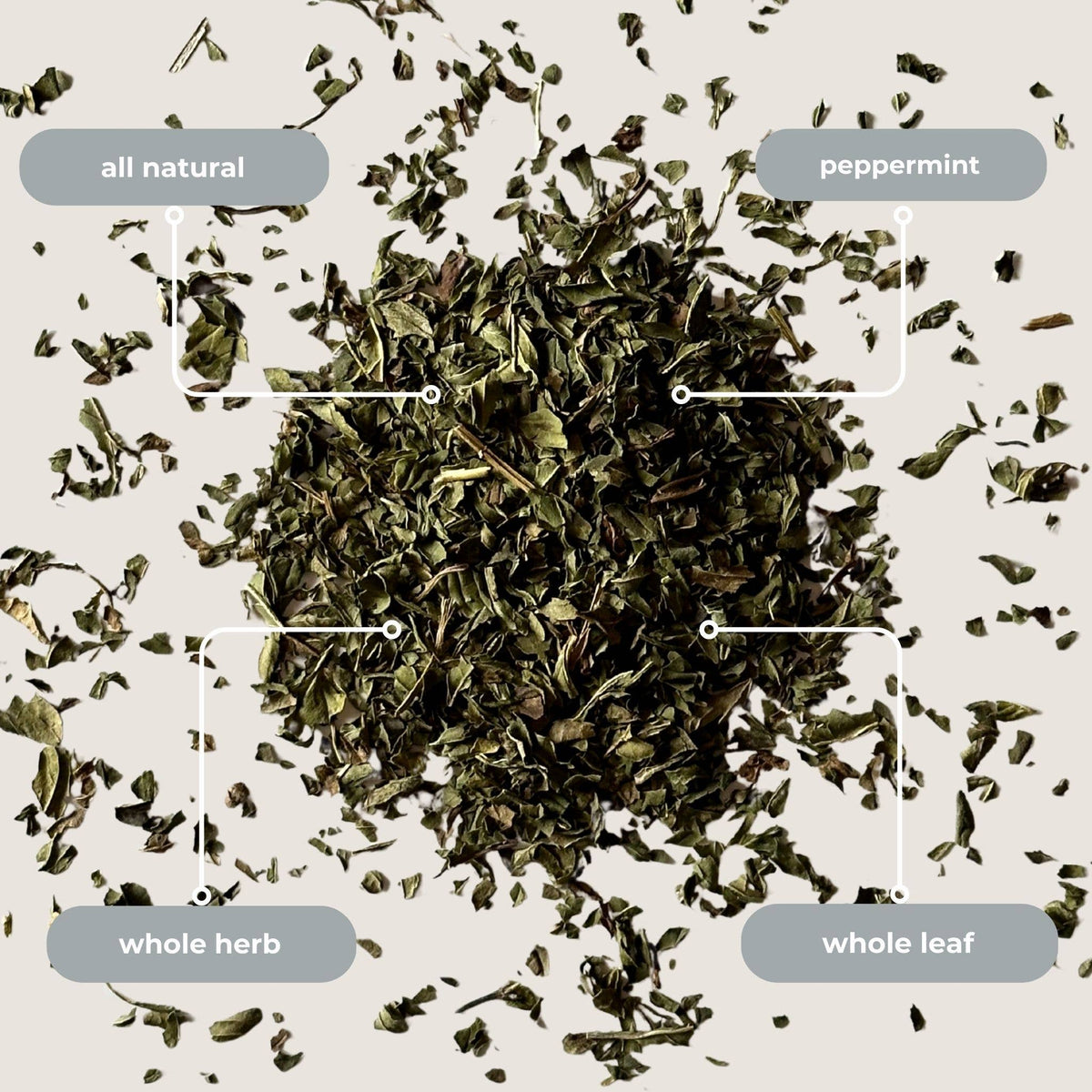 Peppermint Herbal Mini Tea Tube Gift (5 tea bags)