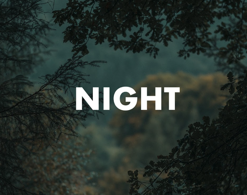 Night & Day - Nightcap  8 oz Candle