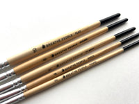 Paintbrush Set of 5 Brushes