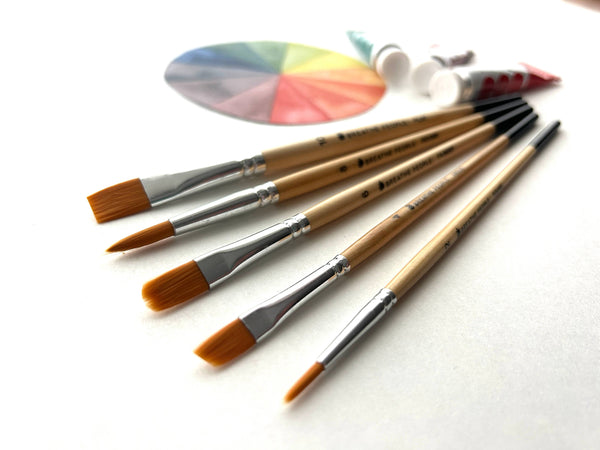Paintbrush Set of 5 Brushes