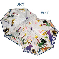 Color Changing Umbrellas Summer 2026
