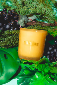 Garden State - Cedar & Cassis 8oz Candle