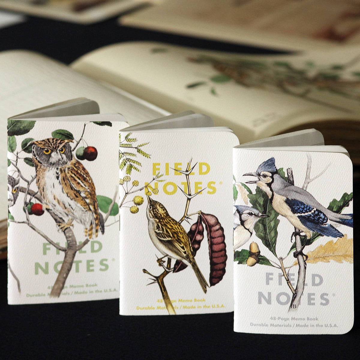 Birds and Trees of North America Notebooks - 3 pack
