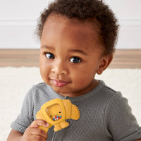 Sweetie Shake Teething + Rattle Toy